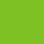 Parrot 